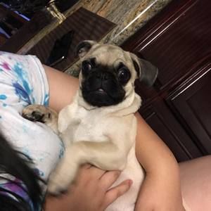 Meet your Posher, Virginia